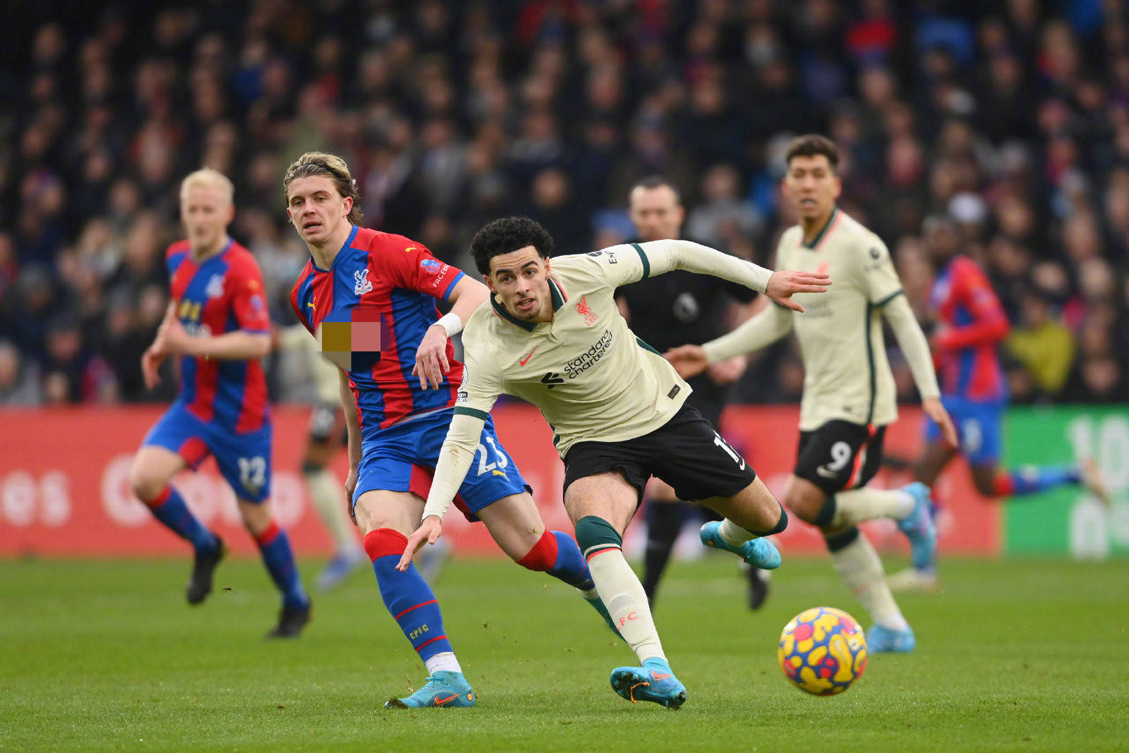 莱昂尼拒绝 莱昂尼拒绝